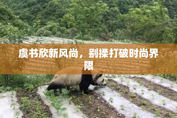 虞书欣新风尚，别揉打破时尚界限