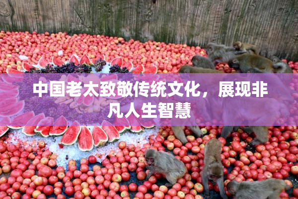 中国老太致敬传统文化，展现非凡人生智慧
