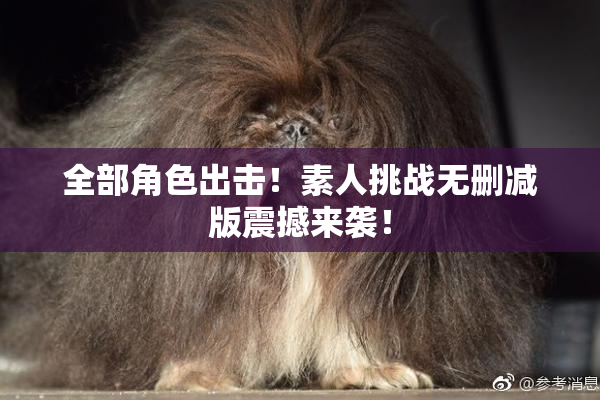 全部角色出击！素人挑战无删减版震撼来袭！