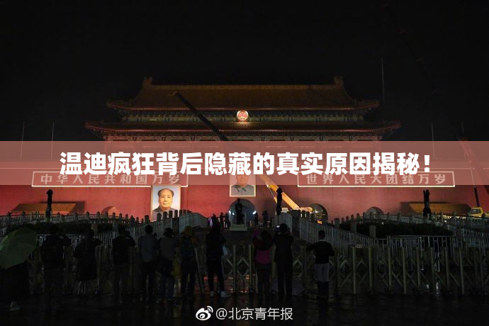 温迪疯狂背后隐藏的真实原因揭秘！