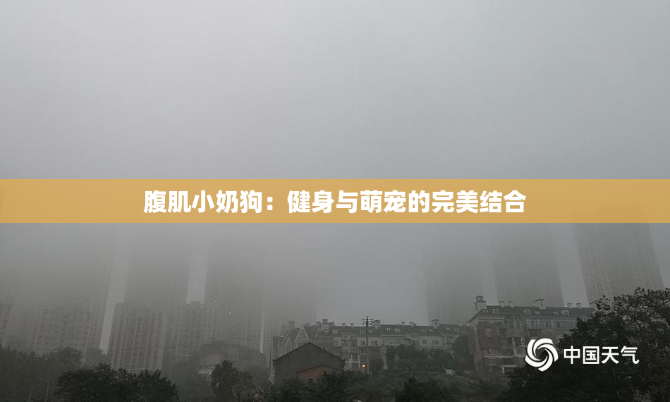 腹肌小奶狗：健身与萌宠的完美结合