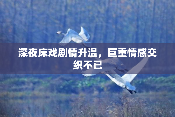深夜床戏剧情升温，巨重情感交织不已