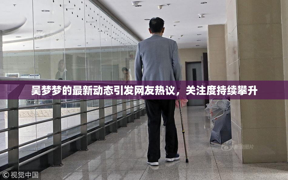 吴梦梦的最新动态引发网友热议，关注度持续攀升
