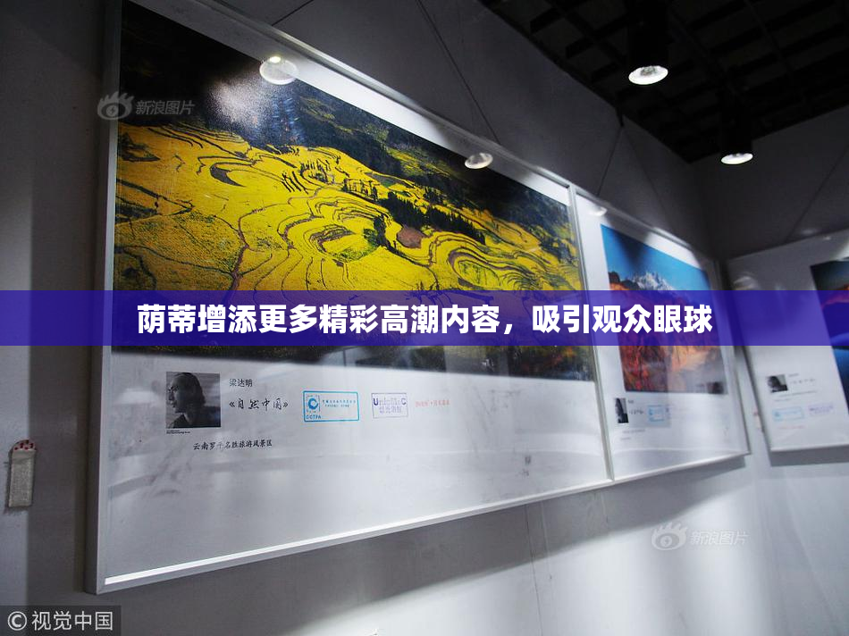 荫蒂增添更多精彩高潮内容，吸引观众眼球