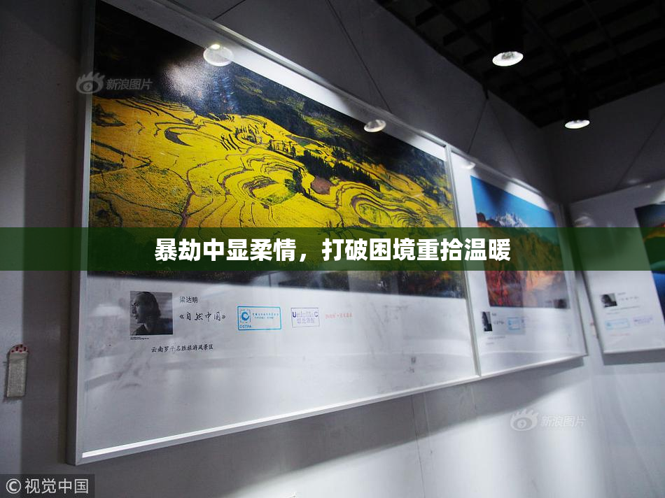 暴劫中显柔情，打破困境重拾温暖