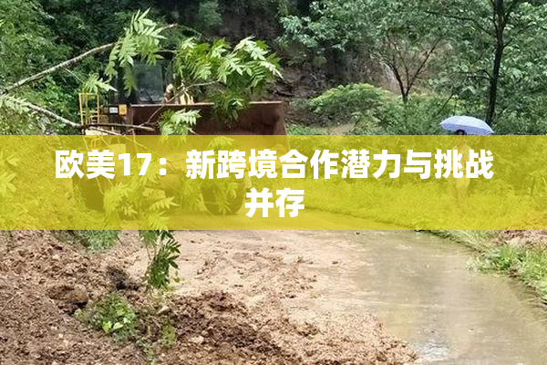 欧美17：新跨境合作潜力与挑战并存