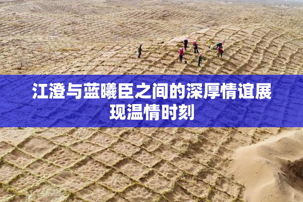 江澄与蓝曦臣之间的深厚情谊展现温情时刻