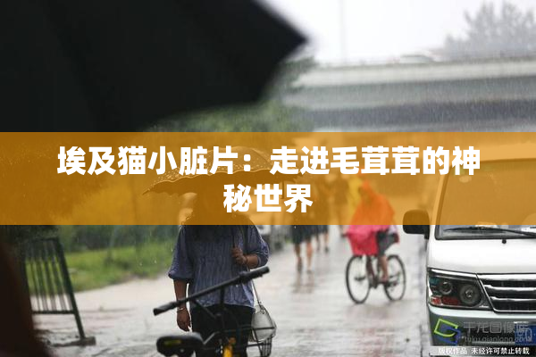 埃及猫小脏片：走进毛茸茸的神秘世界