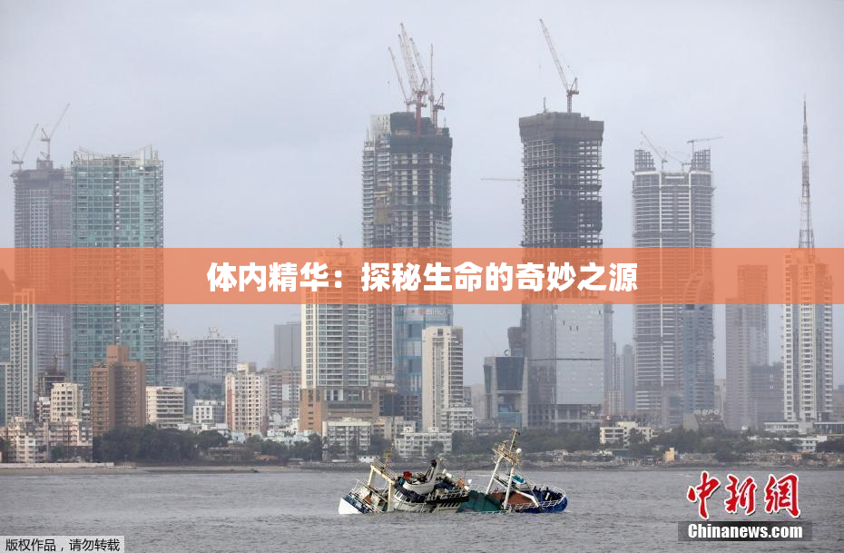 体内精华：探秘生命的奇妙之源