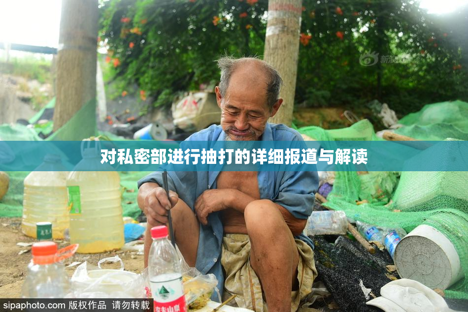 对私密部进行抽打的详细报道与解读