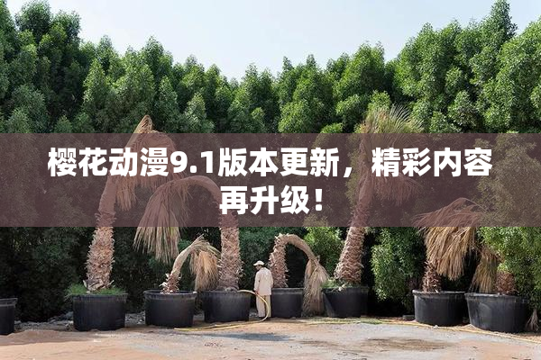 樱花动漫9.1版本更新，精彩内容再升级！