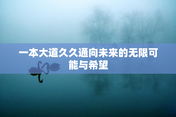 一本大道久久通向未来的无限可能与希望