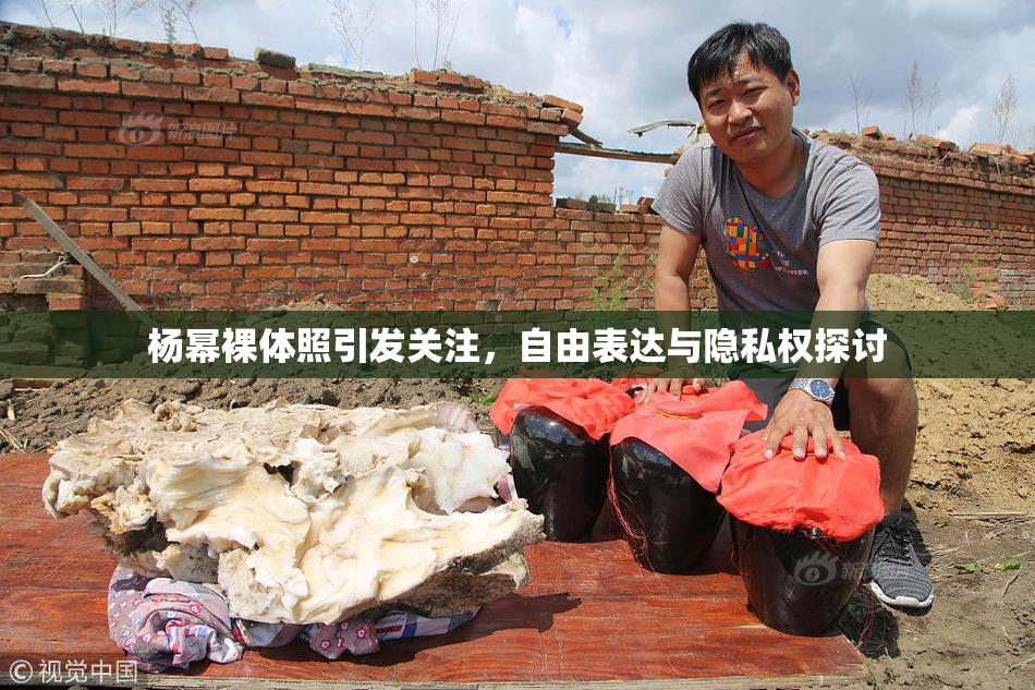 杨幂裸体照引发关注，自由表达与隐私权探讨