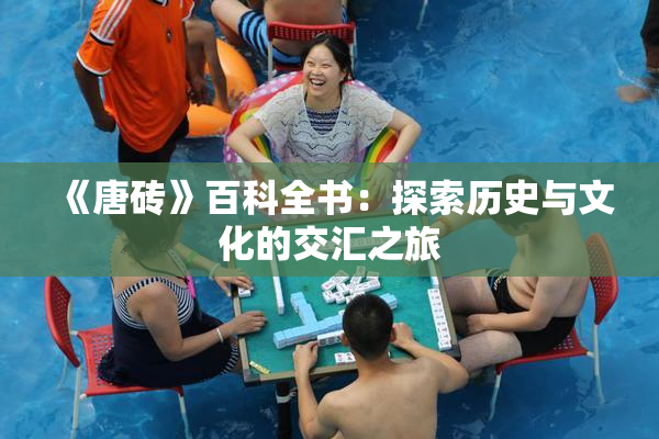 《唐砖》百科全书：探索历史与文化的交汇之旅