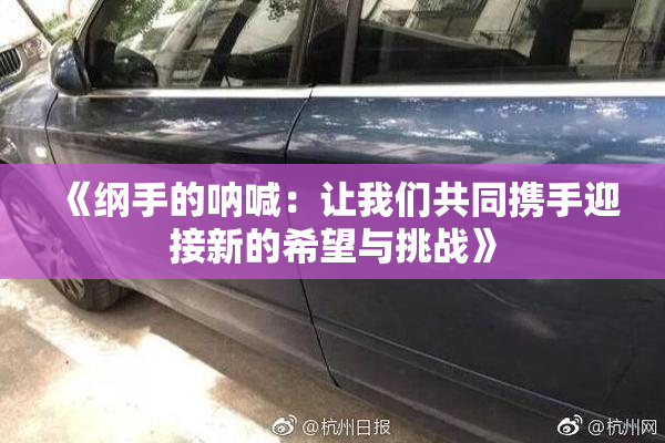 《纲手的呐喊：让我们共同携手迎接新的希望与挑战》