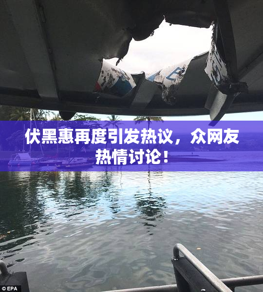 伏黑惠再度引发热议，众网友热情讨论！
