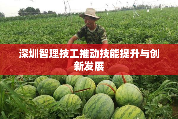深圳智理技工推动技能提升与创新发展