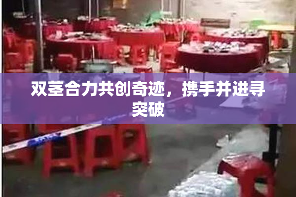双茎合力共创奇迹，携手并进寻突破