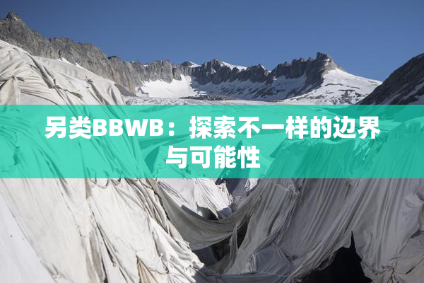 另类BBWB：探索不一样的边界与可能性