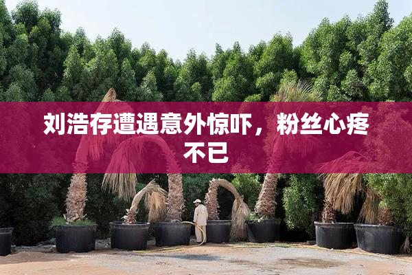 刘浩存遭遇意外惊吓，粉丝心疼不已