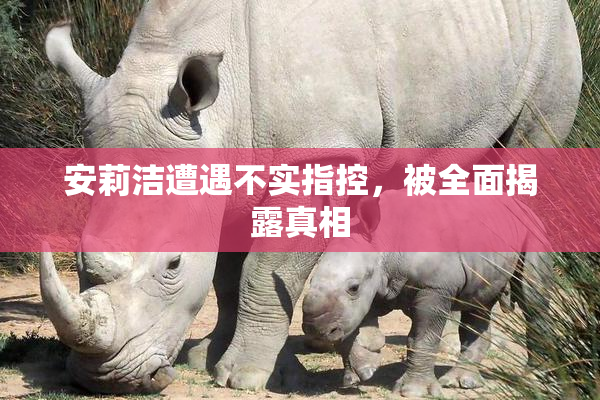 安莉洁遭遇不实指控，被全面揭露真相