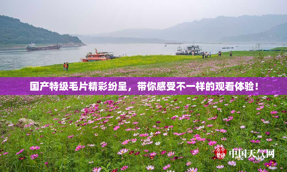 国产特级毛片精彩纷呈，带你感受不一样的观看体验！