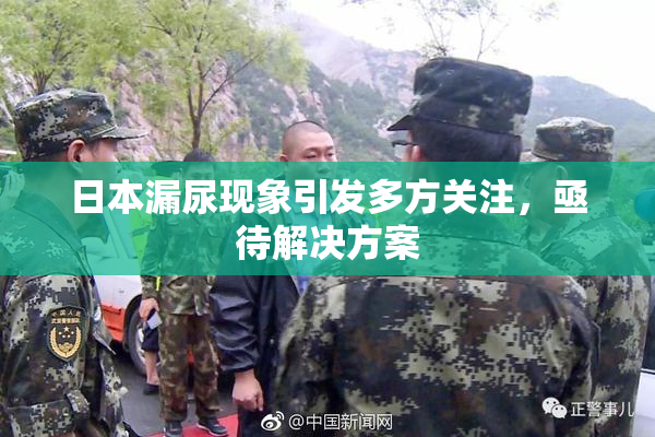 日本漏尿现象引发多方关注，亟待解决方案