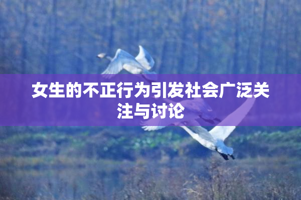 女生的不正行为引发社会广泛关注与讨论