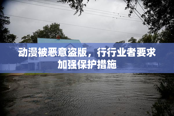 动漫被恶意盗版，行行业者要求加强保护措施