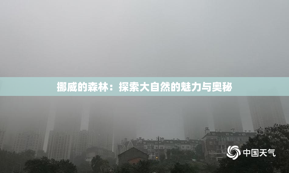 挪威的森林：探索大自然的魅力与奥秘