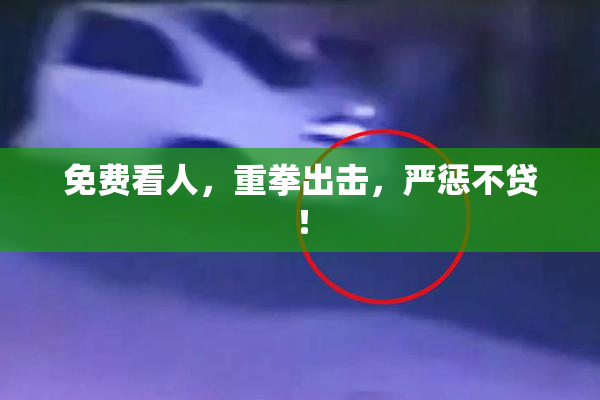 免费看人，重拳出击，严惩不贷！