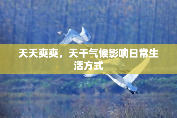 天天爽爽，天干气候影响日常生活方式