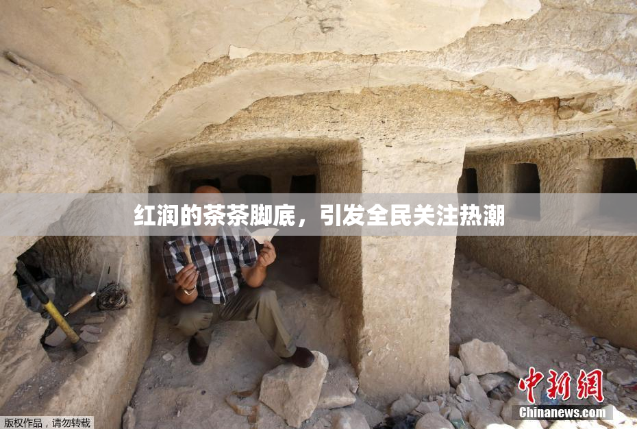 红润的茶茶脚底，引发全民关注热潮