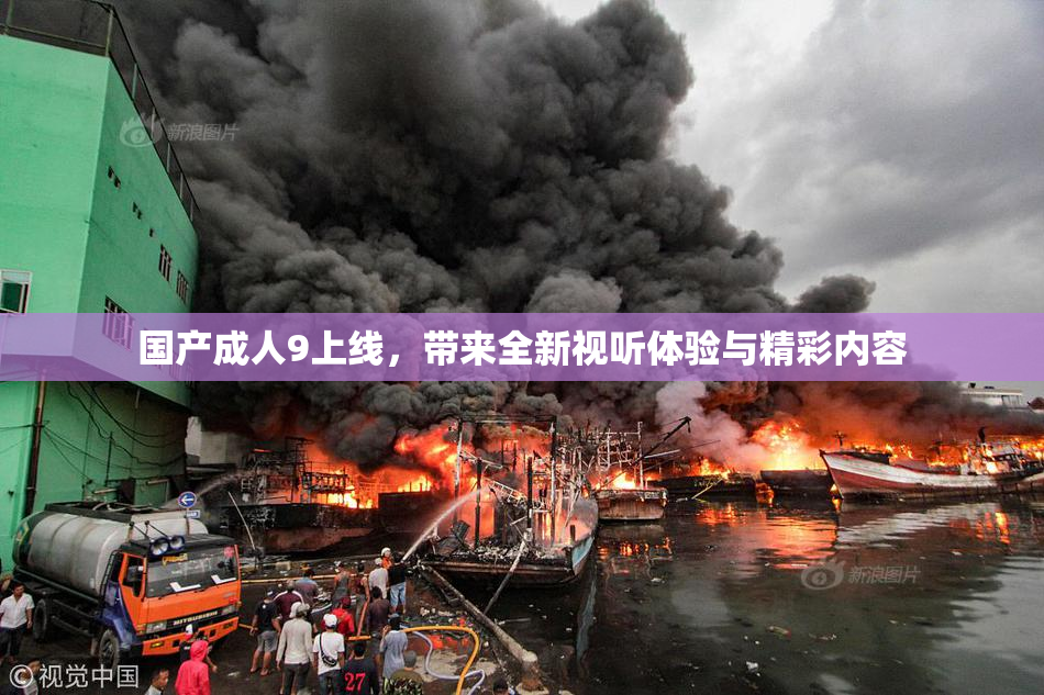 国产成人9上线，带来全新视听体验与精彩内容