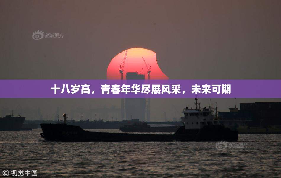 十八岁高，青春年华尽展风采，未来可期