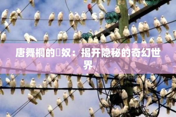 唐舞桐的婬奴：揭开隐秘的奇幻世界