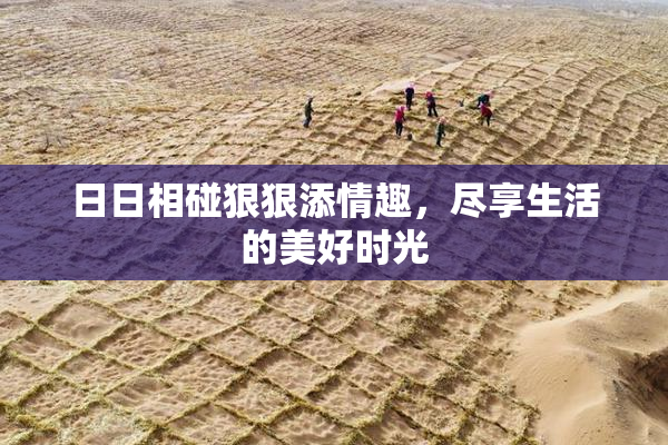 日日相碰狠狠添情趣，尽享生活的美好时光