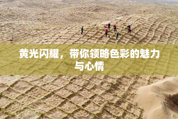 黄光闪耀，带你领略色彩的魅力与心情