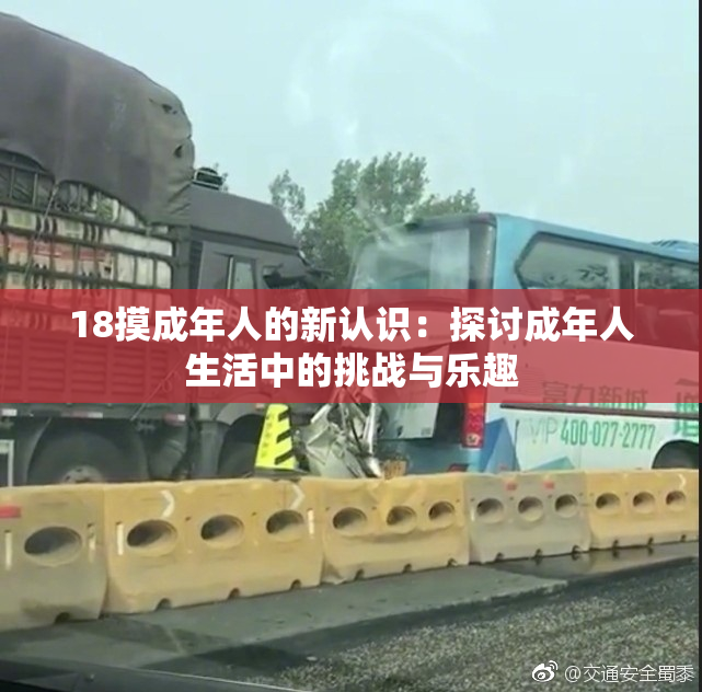 18摸成年人的新认识：探讨成年人生活中的挑战与乐趣