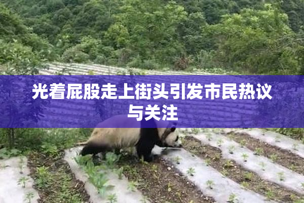 光着屁股走上街头引发市民热议与关注