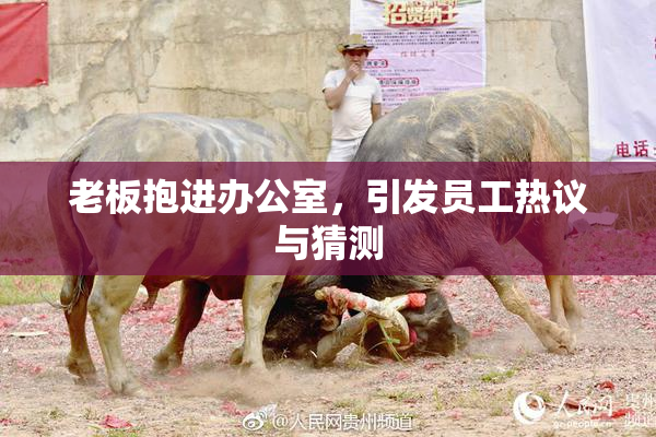 老板抱进办公室，引发员工热议与猜测
