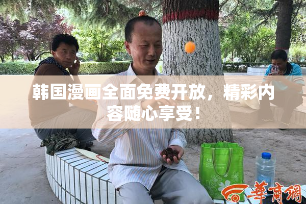 韩国漫画全面免费开放，精彩内容随心享受！
