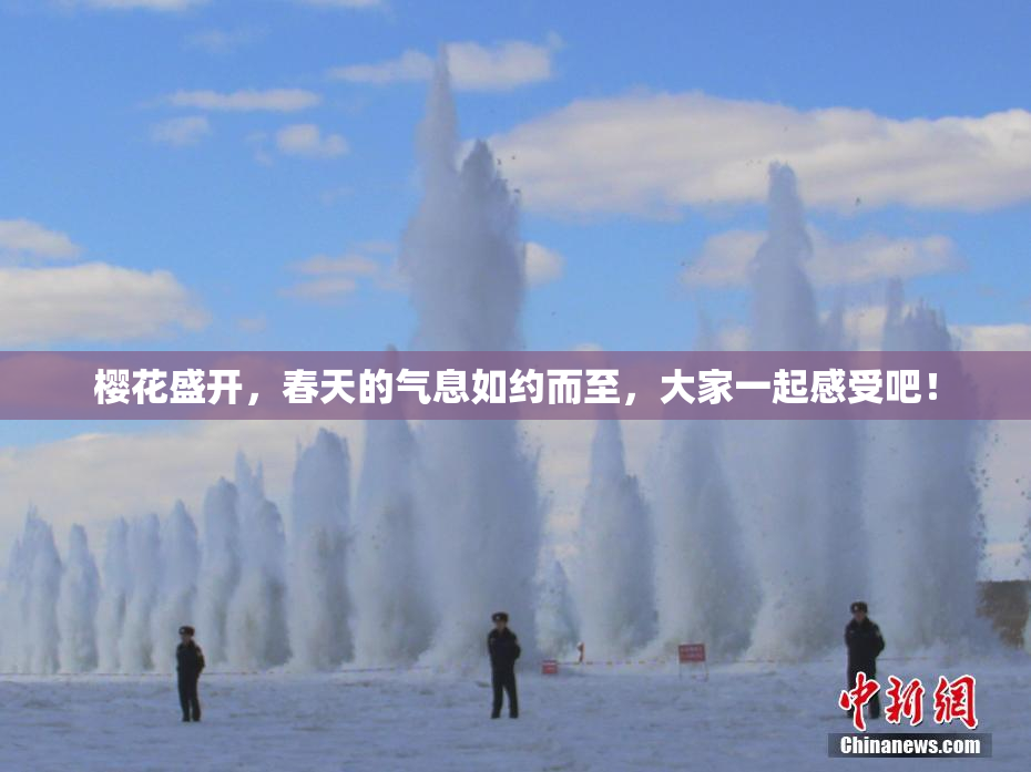 樱花盛开，春天的气息如约而至，大家一起感受吧！