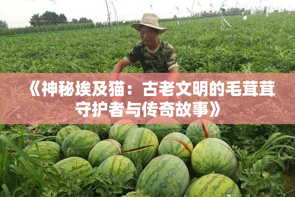 《神秘埃及猫：古老文明的毛茸茸守护者与传奇故事》