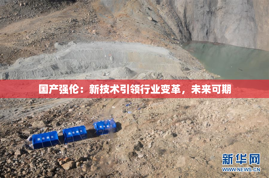 国产强伦：新技术引领行业变革，未来可期