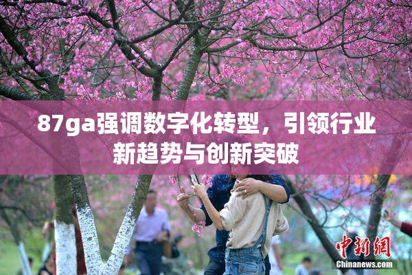 87ga强调数字化转型，引领行业新趋势与创新突破