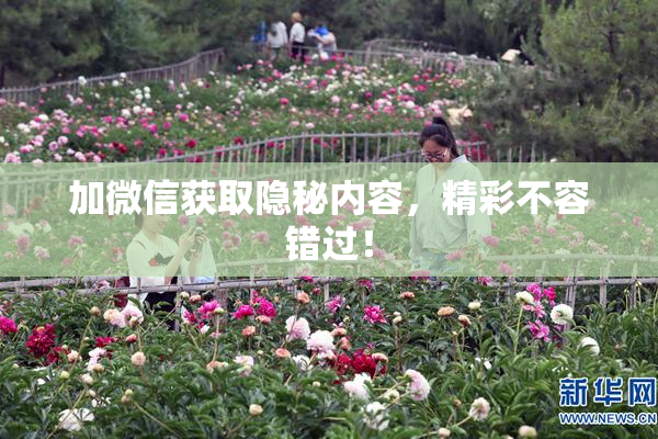加微信获取隐秘内容，精彩不容错过！