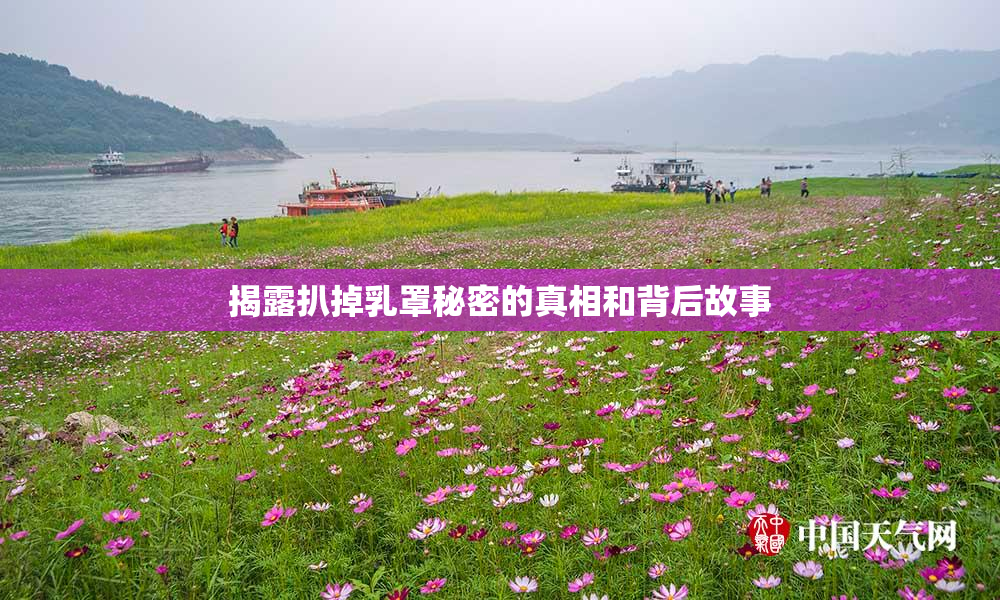 揭露扒掉乳罩秘密的真相和背后故事