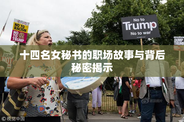 十四名女秘书的职场故事与背后秘密揭示