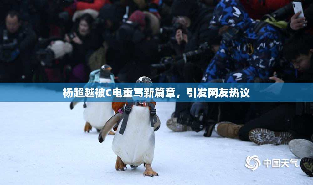杨超越被C电重写新篇章，引发网友热议